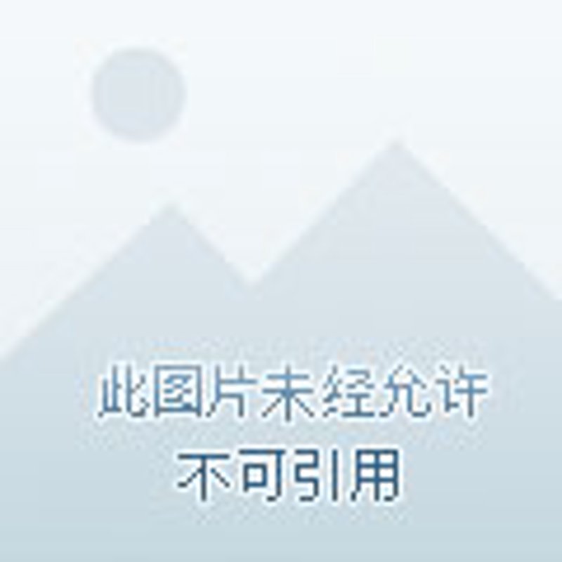 椰浆饭流行趋势：东南亚美食风靡各地